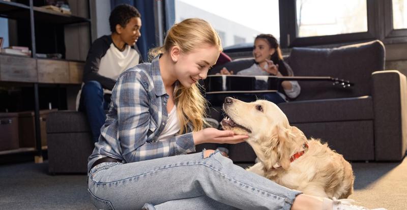 Pytania do petsittera przed współpracą