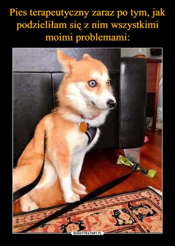 Wsparcie osób z niepełnosprawnościami