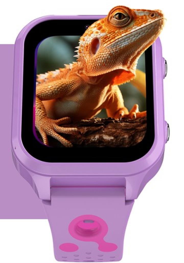 Żywienie jaszczurek – porady