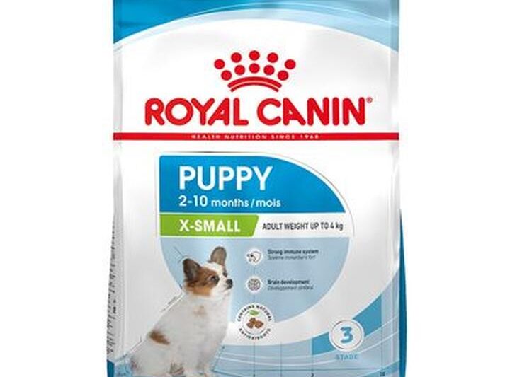 Odkryj moc royal canin gastrointestinal – specjalistyczna karma dla psów i kotów w walce z problemami trawiennymi