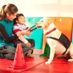 Odkryj moc wsparcia: jak pies terapeutyczny zmienia życie ludzi