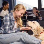 Zaufany petsitter – jak wybrać idealną opiekę dla swojego pupila?