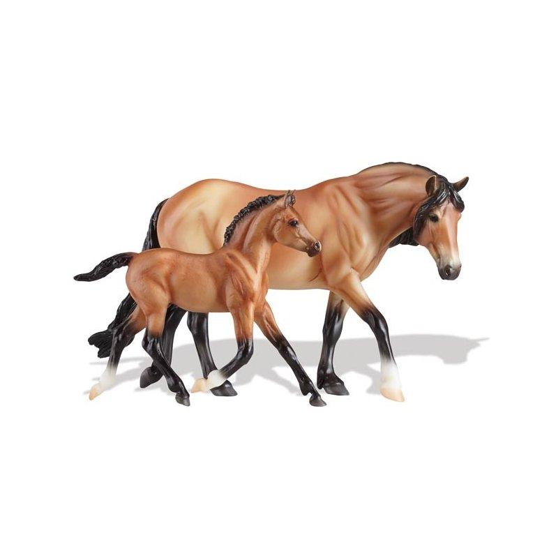 Charakter i temperament kuców Dartmoor