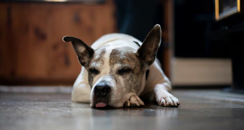 Objawy choroby Rubartha