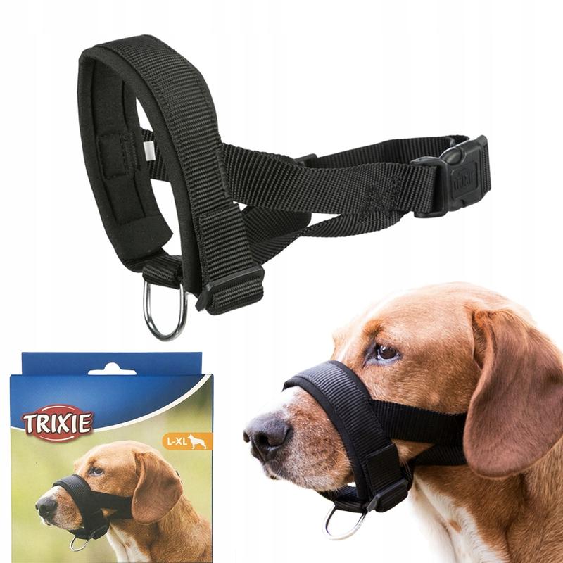 Wybór kantara dla psa