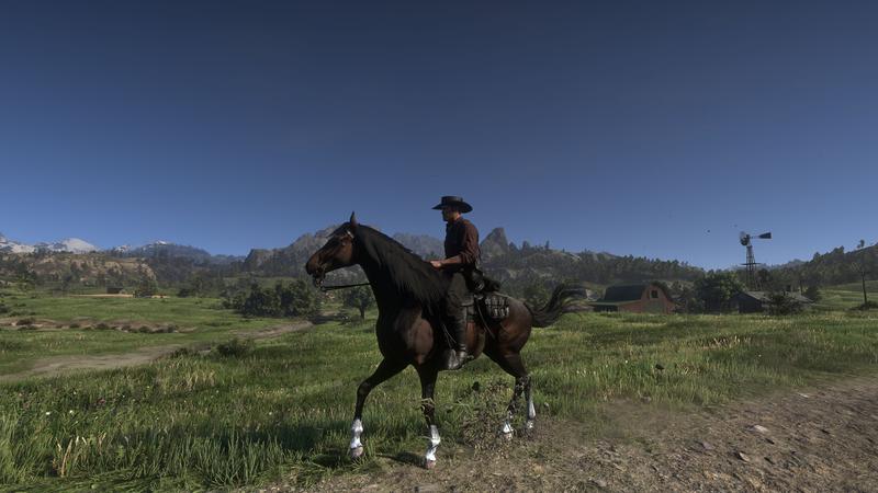 Cechy rasy koni turkmeńskich