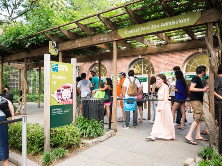 Central Park Zoo w Nowym Jorku