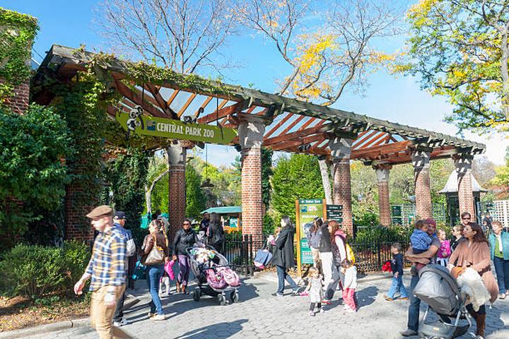 Edukacyjne programy w zoo