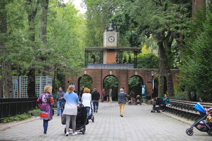 Przygoda w Central Park Zoo: Odkryj niezwykły świat zwierząt w sercu Nowego Jorku
