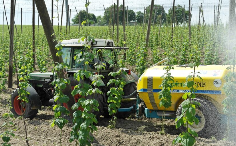 Ochrona fungicydowa w ogrodnictwie i rolnictwie – dlaczego sama reakcja na objawy już nie wystarcza